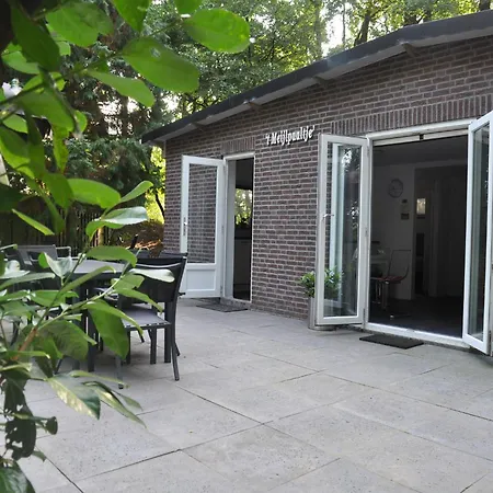 In Leenderstrijp Near Nature Reserve, Cleaning Included