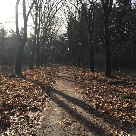 In Leenderstrijp Near Nature Reserve, Cleaning Included Prázdninový dům *